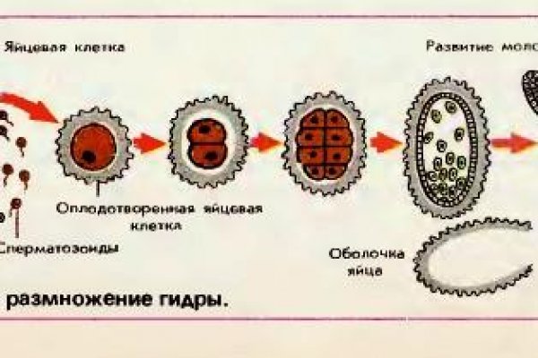 Ссылка кракен