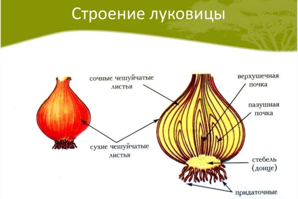 Кракен даркнет ссылка зеркало